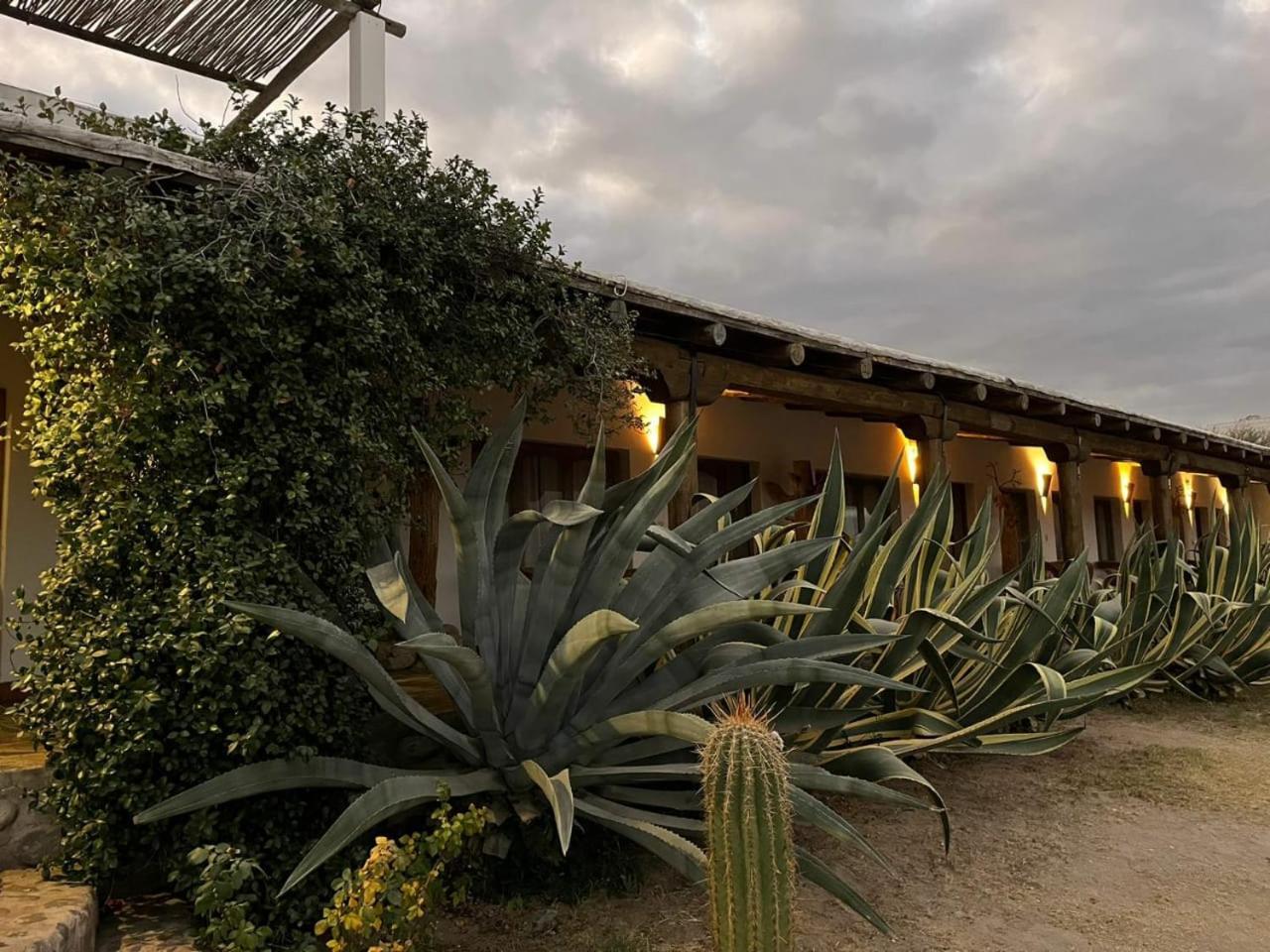 Hotel Texas Cafayate Bagian luar foto